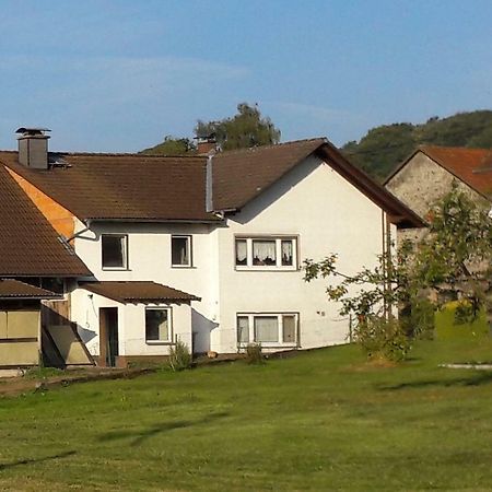 Ferienwohnung Auf Dem Pferdehof 쇼텐 외부 사진
