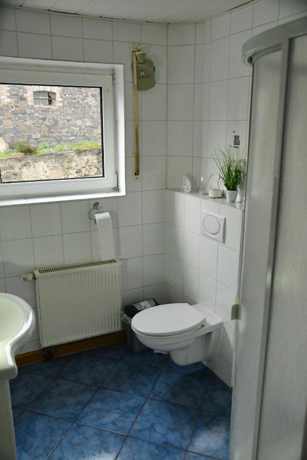 Ferienwohnung Auf Dem Pferdehof 쇼텐 외부 사진