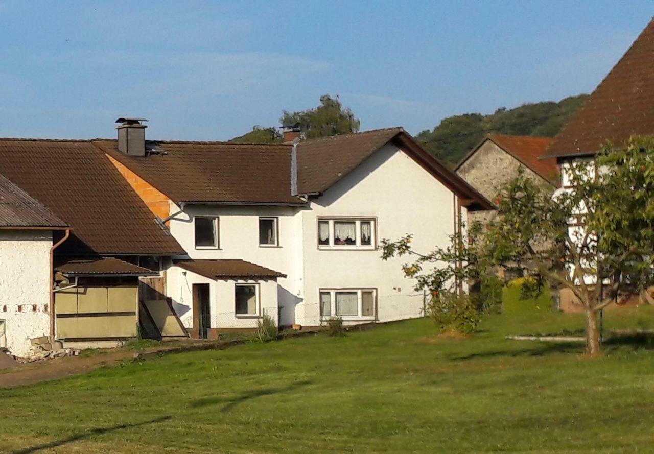 Ferienwohnung Auf Dem Pferdehof 쇼텐 외부 사진